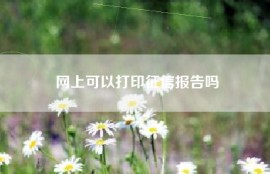 网上可以打印征信报告吗