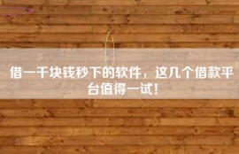 借一千块钱秒下的软件，这几个借款平台值得一试！