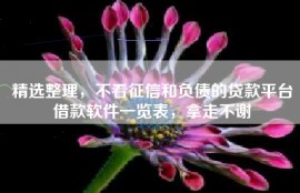 精选整理，不看征信和负债的贷款平台借款软件一览表，拿走不谢
