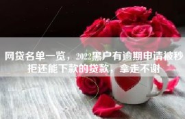 网贷名单一览，2022黑户有逾期申请被秒拒还能下款的贷款，拿走不谢