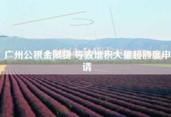 广州公积金限贷 导致堆积大量超额度申请