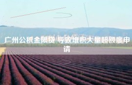 广州公积金限贷 导致堆积大量超额度申请