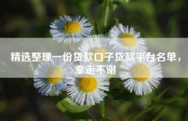 精选整理一份贷款口子贷款平台名单，拿走不谢