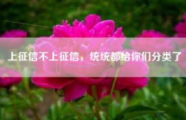 上征信不上征信，统统都给你们分类了
