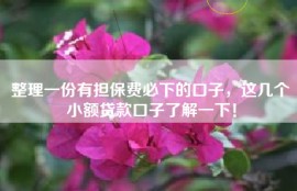 整理一份有担保费必下的口子，这几个小额贷款口子了解一下！