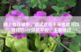 网上借钱被拒，试试这些不审批就可以借钱的APP贷款平台，不容错过
