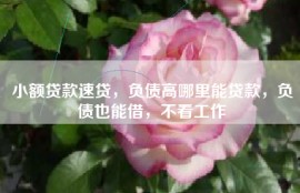 小额贷款速贷，负债高哪里能贷款，负债也能借，不看工作