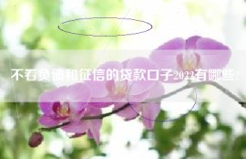 不看负债和征信的贷款口子2022有哪些?