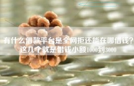 有什么借款平台是全网拒还能在哪借钱？这几个就是借钱小额1000到3000