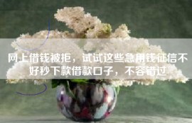 网上借钱被拒，试试这些急用钱征信不好秒下款借款口子，不容错过