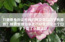 只需要身份证号码的网贷借款口子有哪些？精选整理分享我已经黑到没一个口子下款了小额贷款