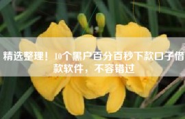 精选整理！10个黑户百分百秒下款口子借款软件，不容错过