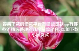 容易下款的借款平台有哪些贷款app有哪些？精选整理的几个贷款平台2022能下款小额贷款