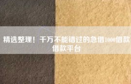 精选整理！千万不能错过的急借1000借款借款平台