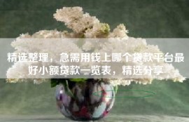 精选整理，急需用钱上哪个贷款平台最好小额贷款一览表，精选分享