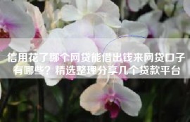 信用花了哪个网贷能借出钱来网贷口子有哪些？精选整理分享几个贷款平台