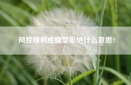 风控规则或模型拒绝什么意思?