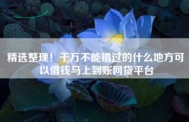 精选整理！千万不能错过的什么地方可以借钱马上到账网贷平台