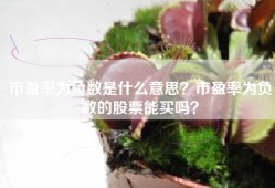 市盈率为负数是什么意思？市盈率为负数的股票能买吗？