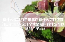 有什么借款口子是黑户有什么可以下款的口子2022？这几个就是黑户有什么可以下款的口子2022