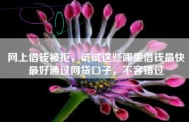 网上借钱被拒，试试这些哪里借钱最快最好通过网贷口子，不容错过
