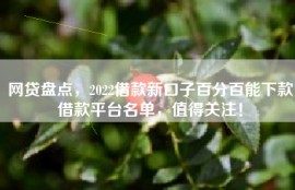 网贷盘点，2022借款新口子百分百能下款借款平台名单，值得关注！