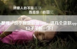 整理一份小额贷款借1000，这几个贷款app口子了解一下！