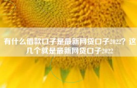 有什么借款口子是最新网贷口子2022？这几个就是最新网贷口子2022