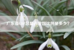 广东省GDP总量占全国比例是多少？