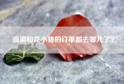 滴滴和花小猪的订单都去哪儿了？