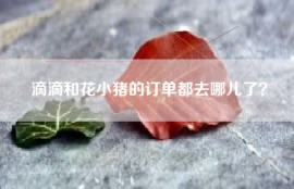 滴滴和花小猪的订单都去哪儿了？
