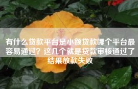 有什么贷款平台是小额贷款哪个平台最容易通过？这几个就是贷款审核通过了结果放款失败