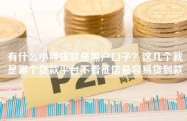 有什么小额贷款是黑户口子？这几个就是哪个贷款平台不看征信最容易贷到款