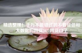 精选整理！千万不能错过的不看征信和大数据的网贷2022网贷口子