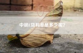 中银E贷利率是多少呢？
