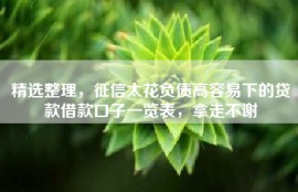 精选整理，征信太花负债高容易下的贷款借款口子一览表，拿走不谢