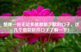 整理一份无论多黑都能下款的口子，这几个借款软件口子了解一下！