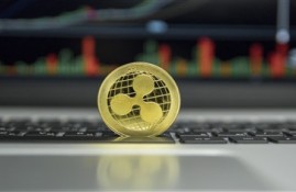 网贷和信用卡哪个更划算？我们来一探究竟！