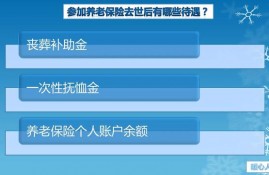 2022年如果缴不起养老保险，可以贷款缴吗？