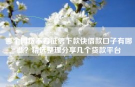 哪个网贷不看征信下款快借款口子有哪些？精选整理分享几个贷款平台