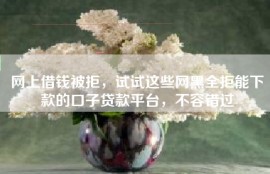网上借钱被拒，试试这些网黑全拒能下款的口子贷款平台，不容错过