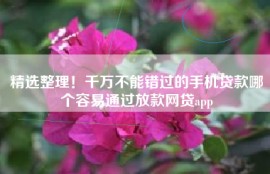 精选整理！千万不能错过的手机贷款哪个容易通过放款网贷app