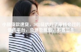 小额贷款速贷，2022征信烂了审核必过的借钱平台，负债也能借，不看工作