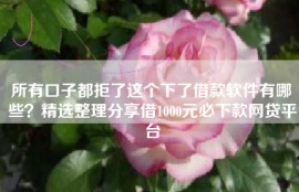 所有口子都拒了这个下了借款软件有哪些？精选整理分享借1000元必下款网贷平台