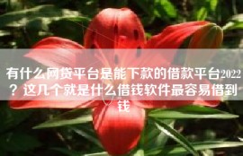 有什么网贷平台是能下款的借款平台2022？这几个就是什么借钱软件最容易借到钱