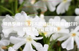 精选整理！千万不能错过的容易通过的借贷平台贷款平台