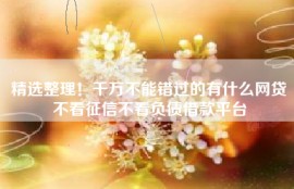精选整理！千万不能错过的有什么网贷不看征信不看负债借款平台