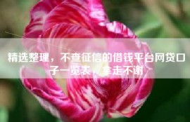 精选整理，不查征信的借钱平台网贷口子一览表，拿走不谢
