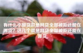 有什么小额贷款是网贷全部被拒还能在哪贷？这几个就是网贷全部被拒还能在哪贷