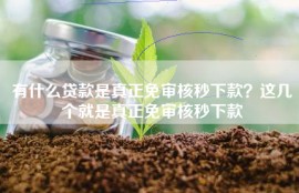 有什么贷款是真正免审核秒下款？这几个就是真正免审核秒下款